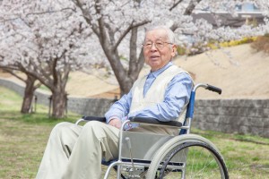 Japanese senior man sitting in a wheelchair with a background of cherry blossoms in the background