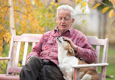 Older man petting a dog on a bench outside