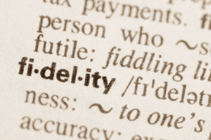 The word fidelity is sitting as if it is in a dictionary