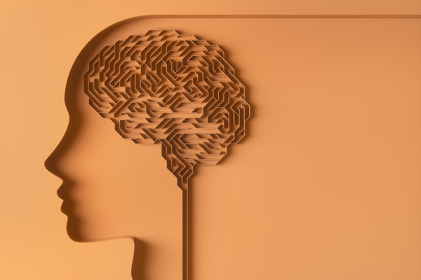 An artistic representation of a human head in profile, facing left. The head is depicted in a solid color, and the brain area is filled with a complex, maze-like pattern.